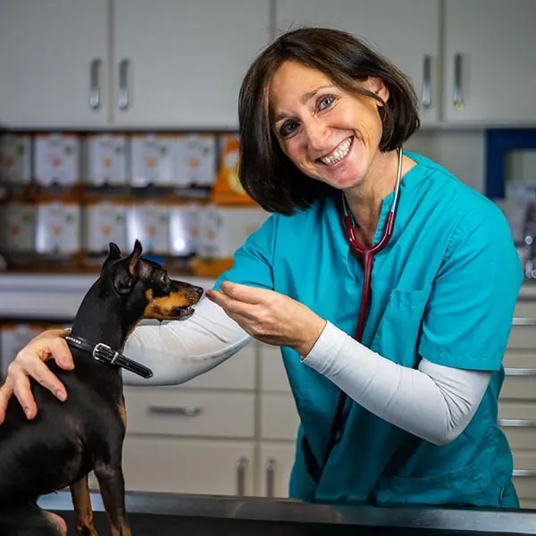 Dr. med. vet. Isabell Knoll mit einem Hund auf dem Behandlungstisch